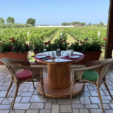 B & B Vigna Di Filippo - Paestum-3