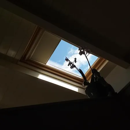 Room73-2